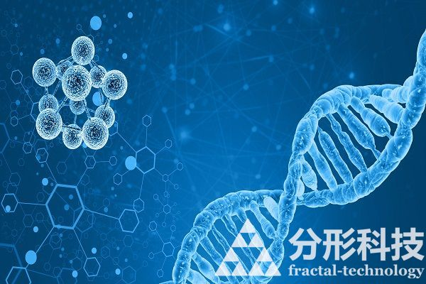 醫(yī)院網(wǎng)站建設(shè)：創(chuàng)新醫(yī)療，便捷就醫(yī)